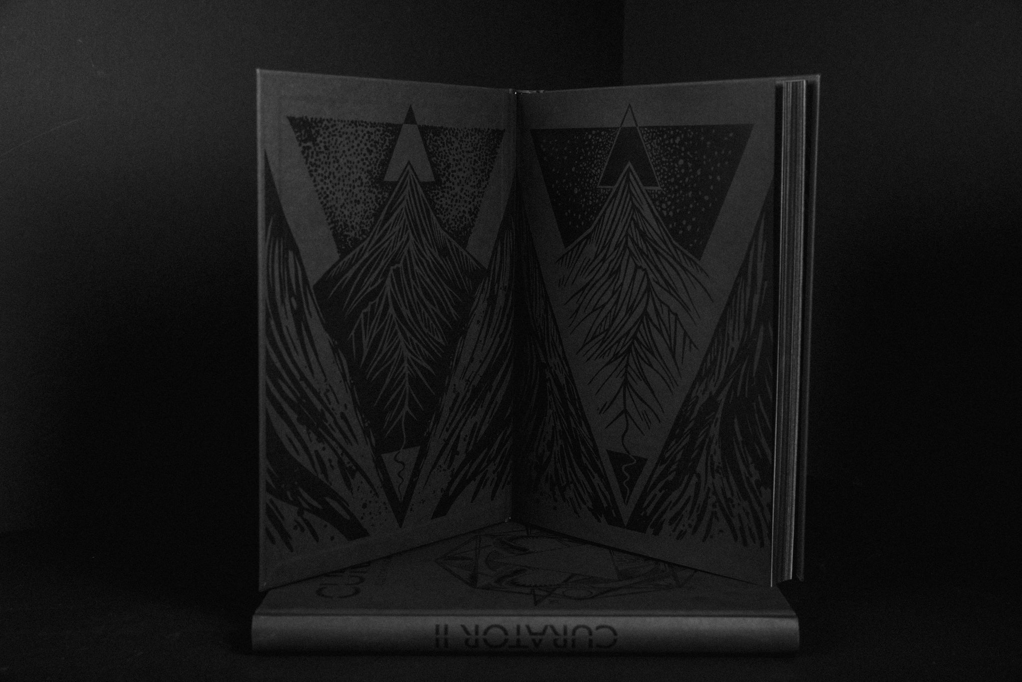 Load image into Gallery viewer, CURATOR Volume II - cult(ure) of snowboarding - hardcover book